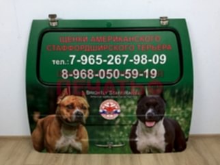 Печать на самоклеющейся пленке