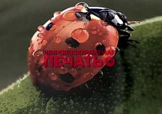 широкоформатная печать на холсте в Алматы