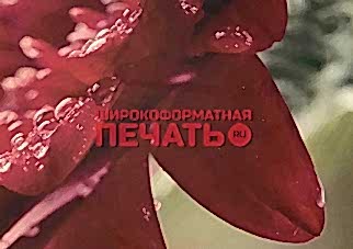 Печать на холсте широкоформатная